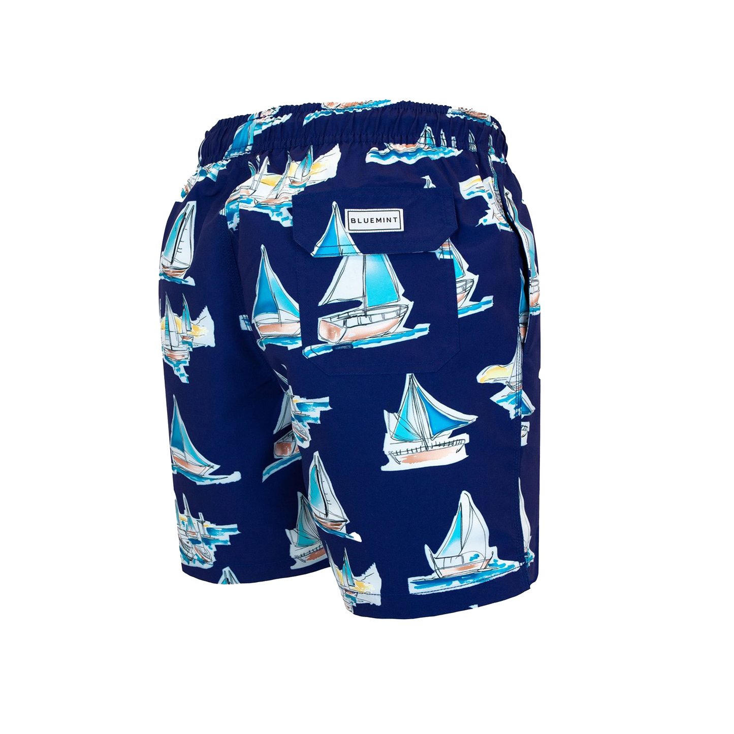 BlueMint Arthus Navy Alesta Swim Short