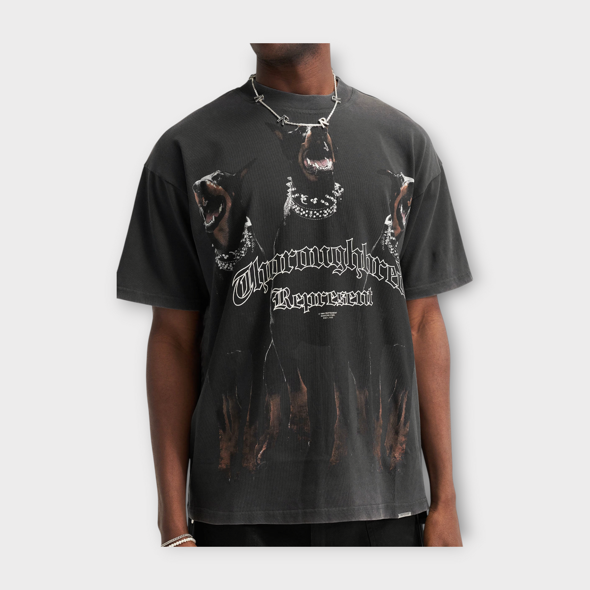 Drop Represent Thoroughbred t-shirt in vintage black with a graphic print of three Dobermans on the front